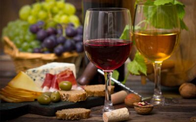 Itinerario fra i principali vini delle Marche