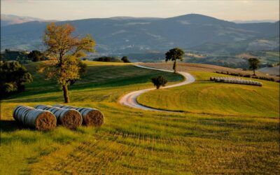 Mogliano Marche: perla dell’artigianato