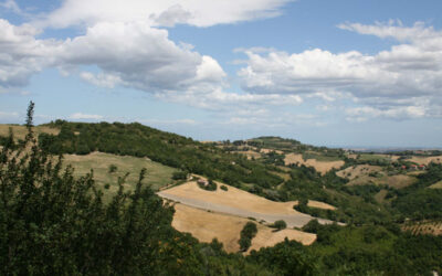 Montefelcino e il Palazzo del Feudatario