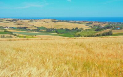 Montescudo: un paese vicino al mare