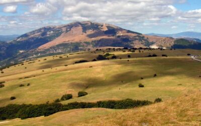 In vetta al Monte Petrano