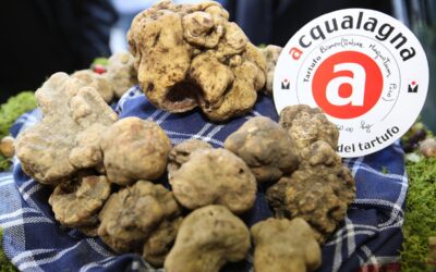 Fiera del Tartufo Bianco di Acqualagna